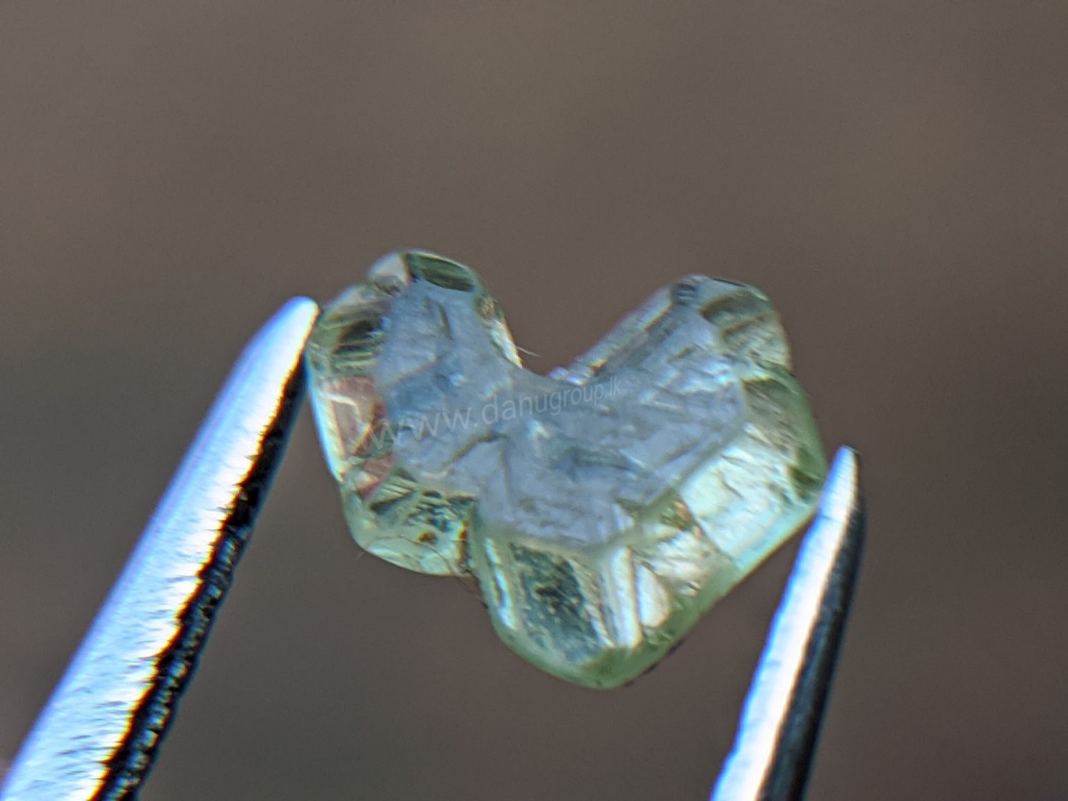 Very Rare Natural Chrysoberyl Sixling Butterfly Crystal from Danu Group rare collection