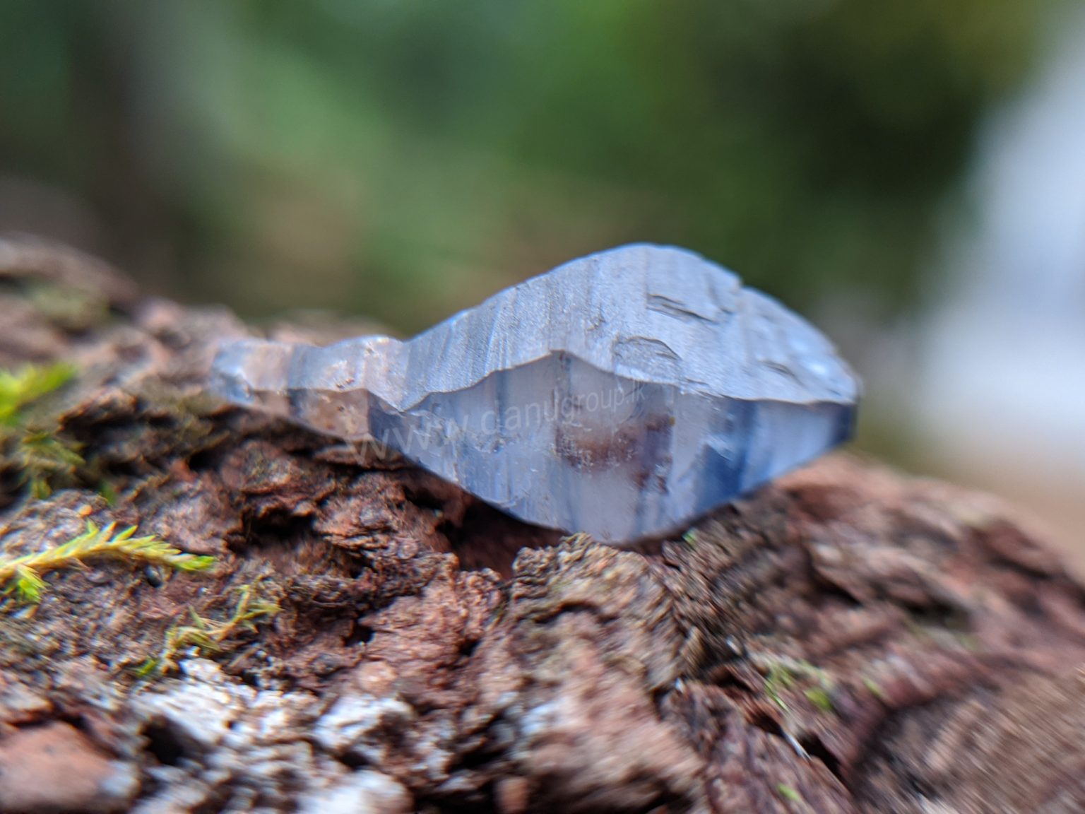 Ceylon Natural Blue Sapphire Fish Shape Crystal from Danu Group Minings in Primary deposit