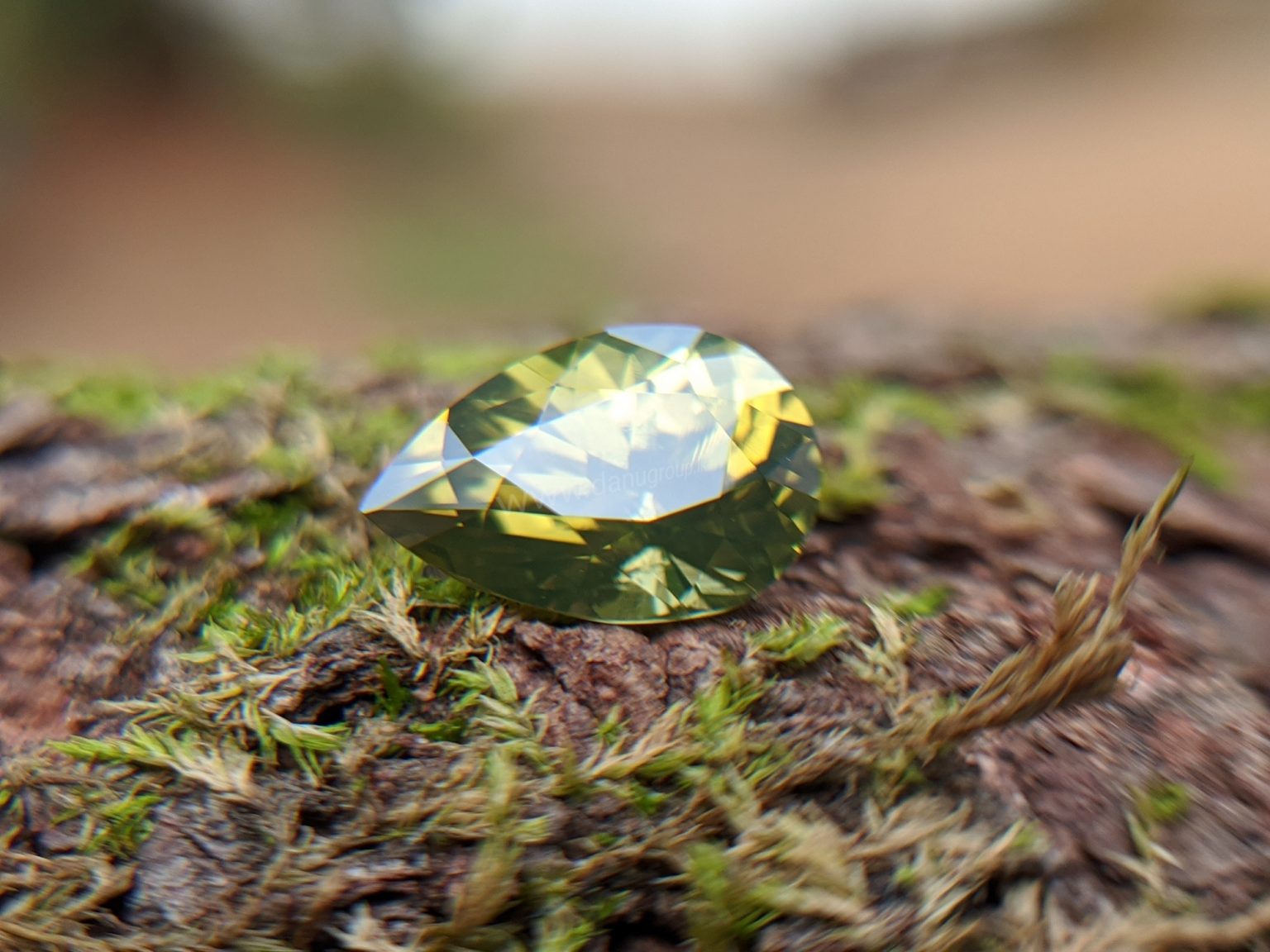 Ceylon Natural Olive Green Zircon Danu Group Gemstones