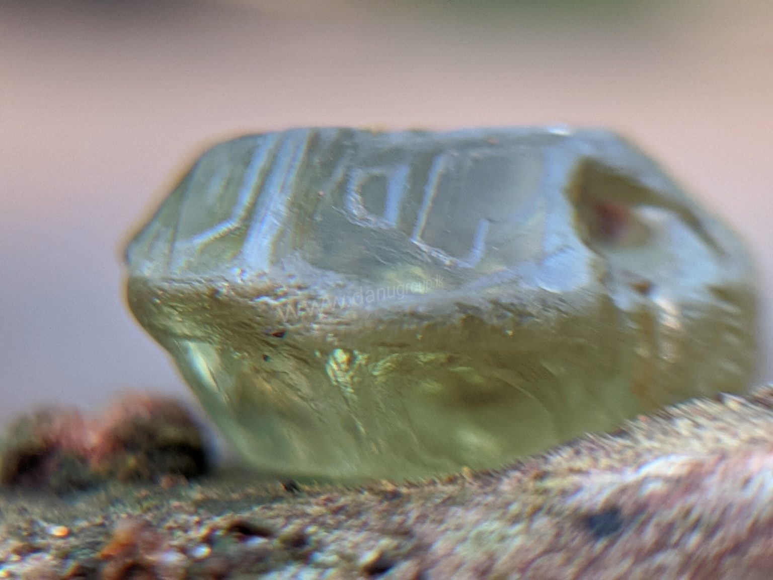 Ceylon Natural rare chrysoberyl Sixling half crystal with cats eye effect Danu Group rare collection