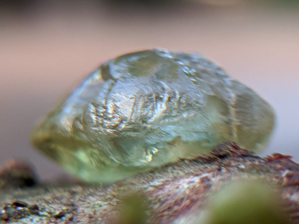 Ceylon Natural rare chrysoberyl Sixling half crystal with cats eye effect Danu Group rare collection