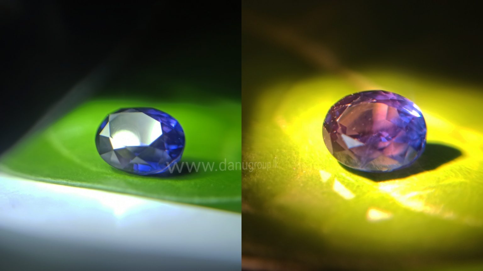 Ceylon Colour Change Sapphire from Danu Group Gemstones Collection Unique gemstones