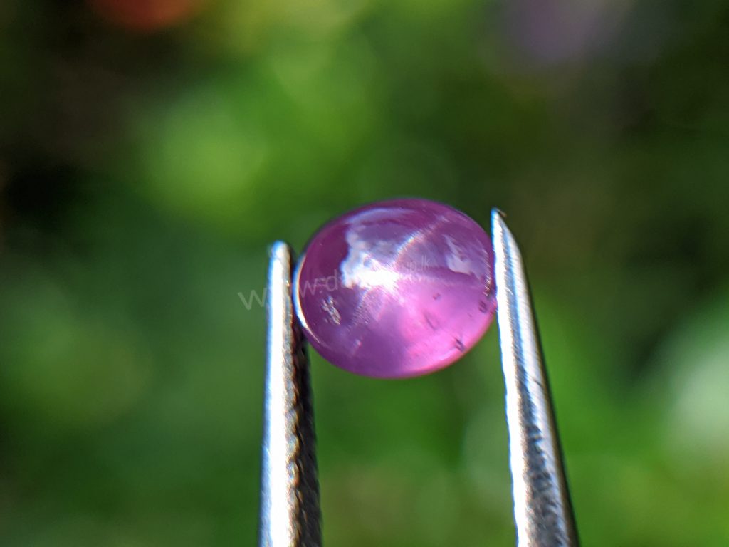 Ceylon Natural Pink Star Sapphire from Danu Group Gemstones Collection