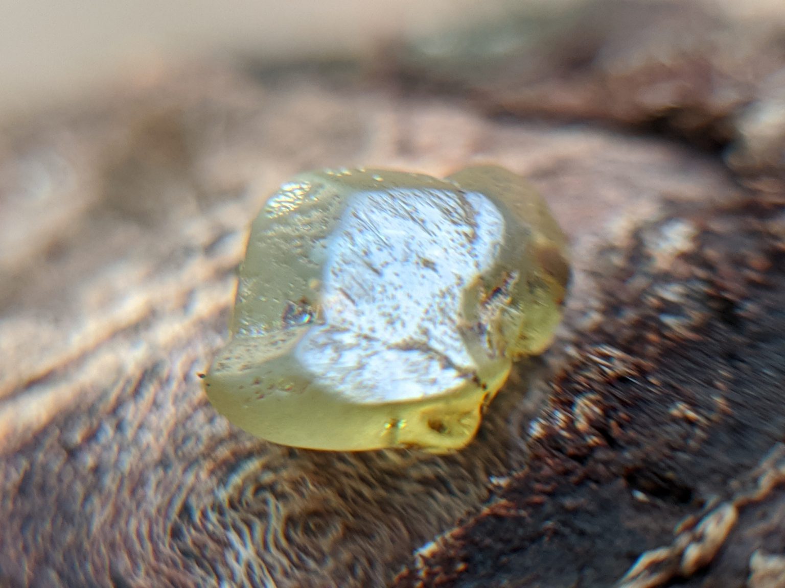 Danu Group RARE NATURAL CHRYSOBERYL SIXLING HALF CRYSTAL WITH CHATOYANCY