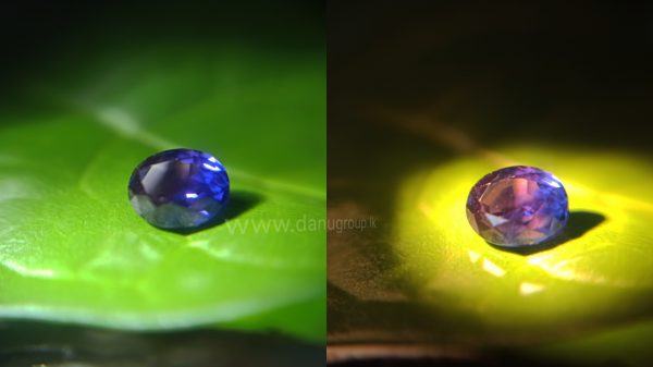 Ceylon Colour Change Sapphire from Danu Group Gemstones Collection Unique gemstones