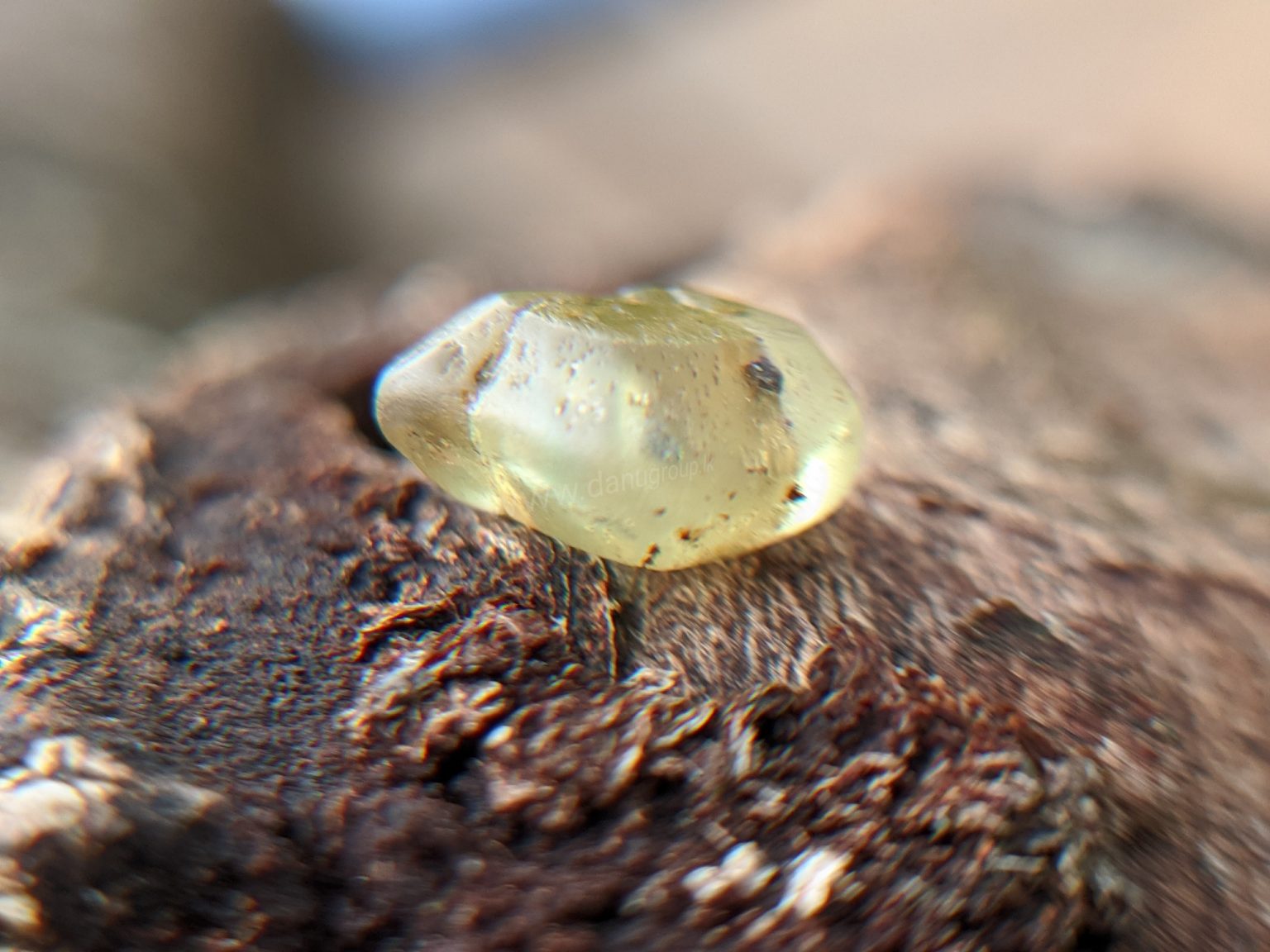 Danu Group RARE NATURAL CHRYSOBERYL SIXLING HALF CRYSTAL WITH CHATOYANCY