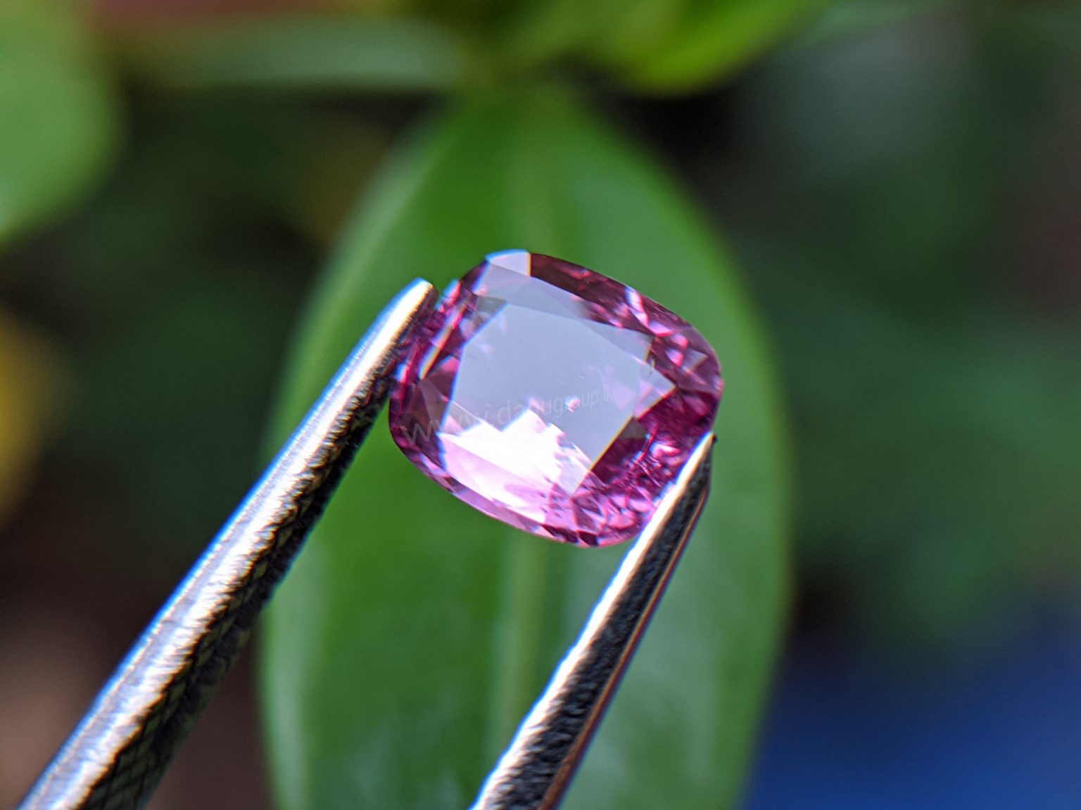 Ceylon Natural Pink Sapphire From Danu Group Gemstones Collection