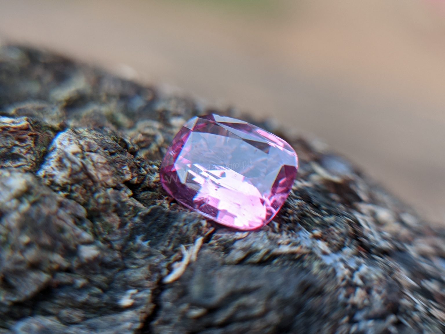 Ceylon Natural Pink Sapphire From Danu Group Gemstones Collection