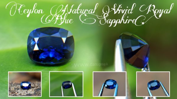 Natural Vivid Royal Blue Sapphire Danu Group Royal Gemstones