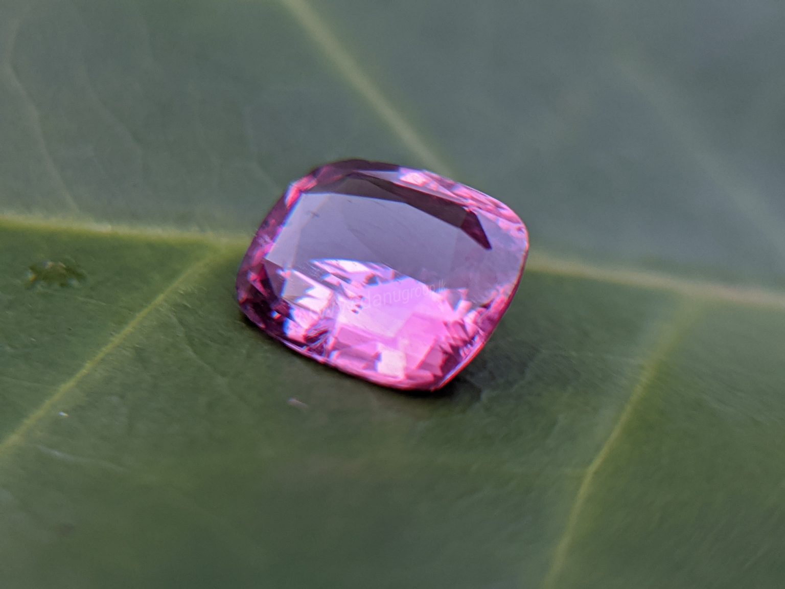 Ceylon Natural Pink Sapphire From Danu Group Gemstones Collection