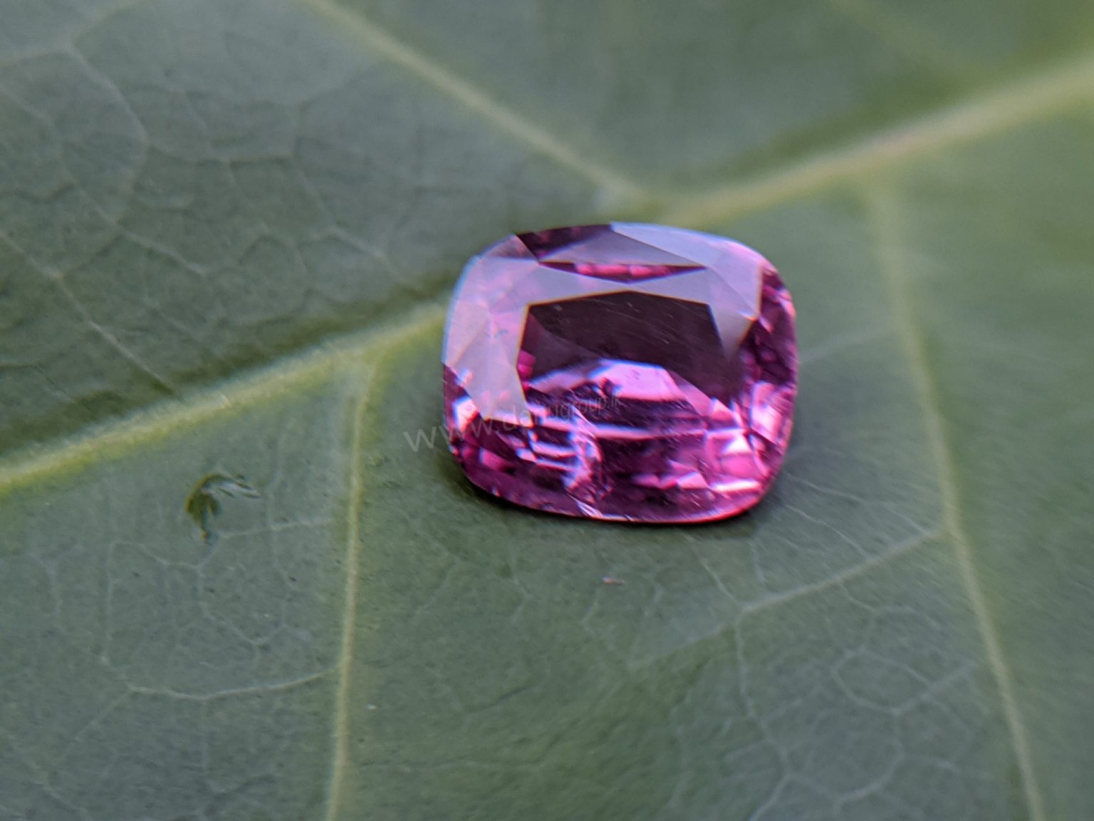 Ceylon Natural Pink Sapphire From Danu Group Gemstones Collection