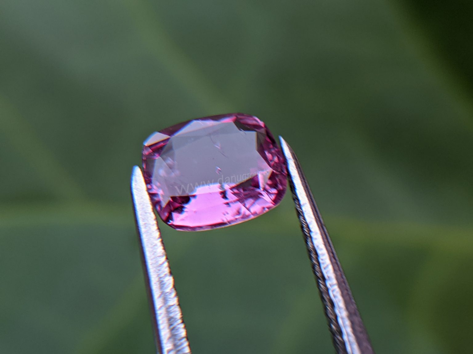 Ceylon Natural Pink Sapphire From Danu Group Gemstones Collection