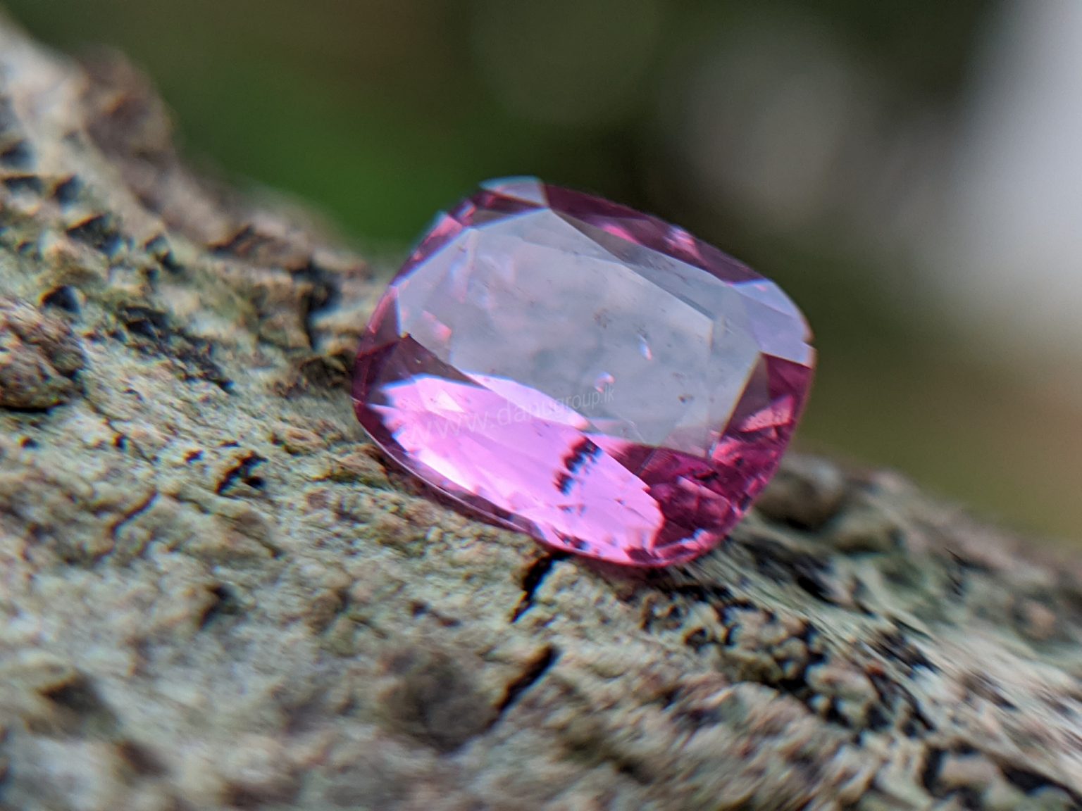 Ceylon Natural Pink Sapphire From Danu Group Gemstones Collection