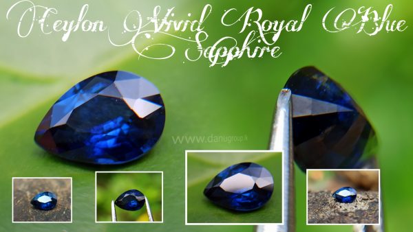 Natural Vivid Royal Blue Sapphire Danu Group Royal Gemstones