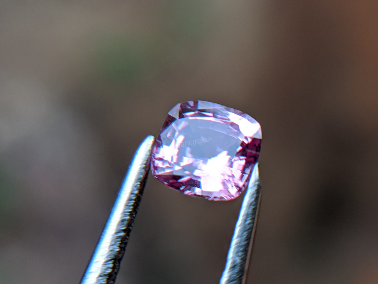 Ceylon Natural Pink Sapphire From Danu Group Gemstones Collection
