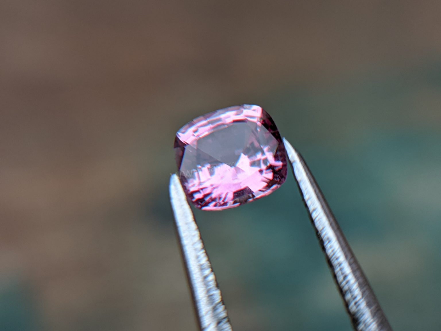 Ceylon Natural Pink Sapphire From Danu Group Gemstones Collection