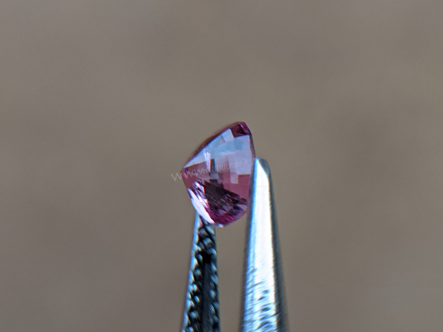 Ceylon Natural Pink Sapphire From Danu Group Gemstones Collection