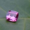 Ceylon Natural Pink Sapphire From Danu Group Gemstones Collection