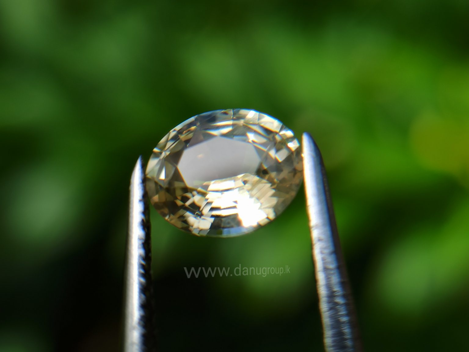 Ceylon Natural Yellow Sapphire Danu Group Astrological gem of planet Jupiter