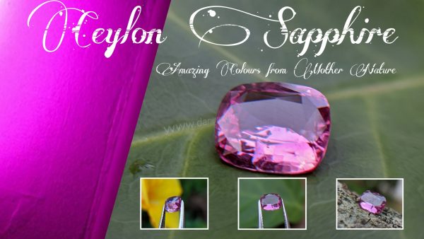 Ceylon Natural Pink Sapphire From Danu Group Gemstones Collection