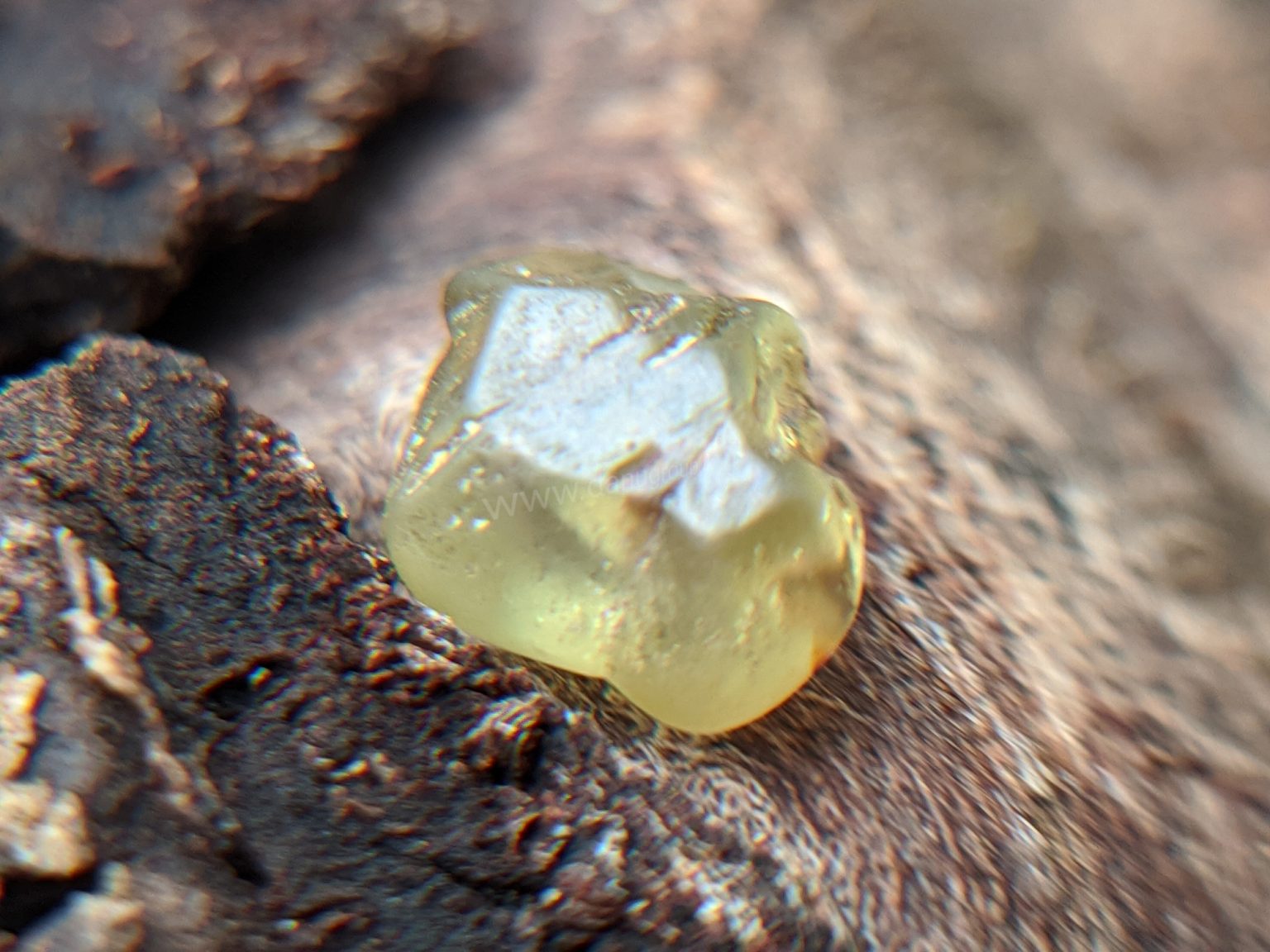 Danu Group RARE NATURAL CHRYSOBERYL SIXLING HALF CRYSTAL WITH CHATOYANCY