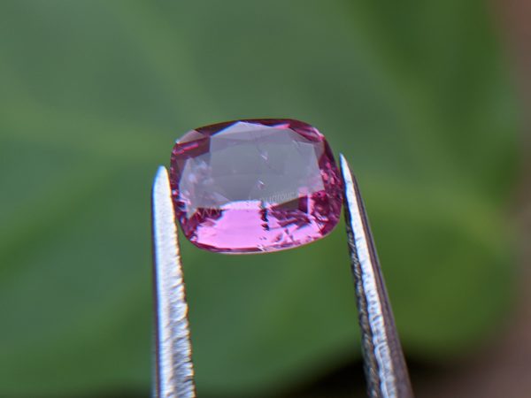 Ceylon Natural Pink Sapphire From Danu Group Gemstones Collection