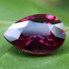 Ceylon Natural Pear Drop shape Brilliance Garnet From Danu Group Gemstones Collection