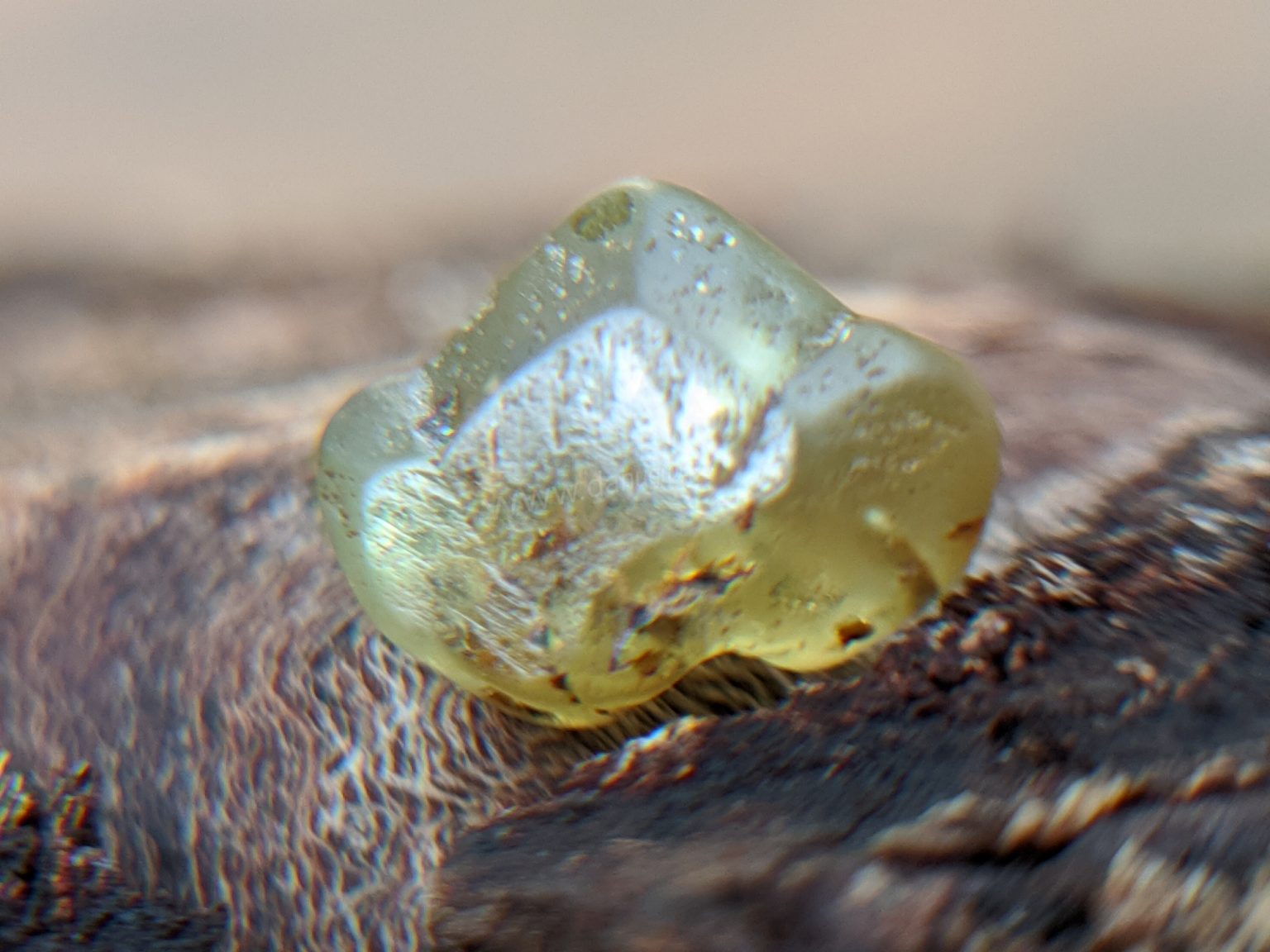 Danu Group RARE NATURAL CHRYSOBERYL SIXLING HALF CRYSTAL WITH CHATOYANCY