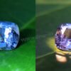 Ceylon Natural Color change Sapphire from Danu Group unique gem collection