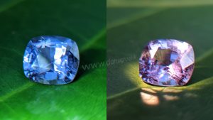 Ceylon Natural Color change Sapphire from Danu Group unique gem collection