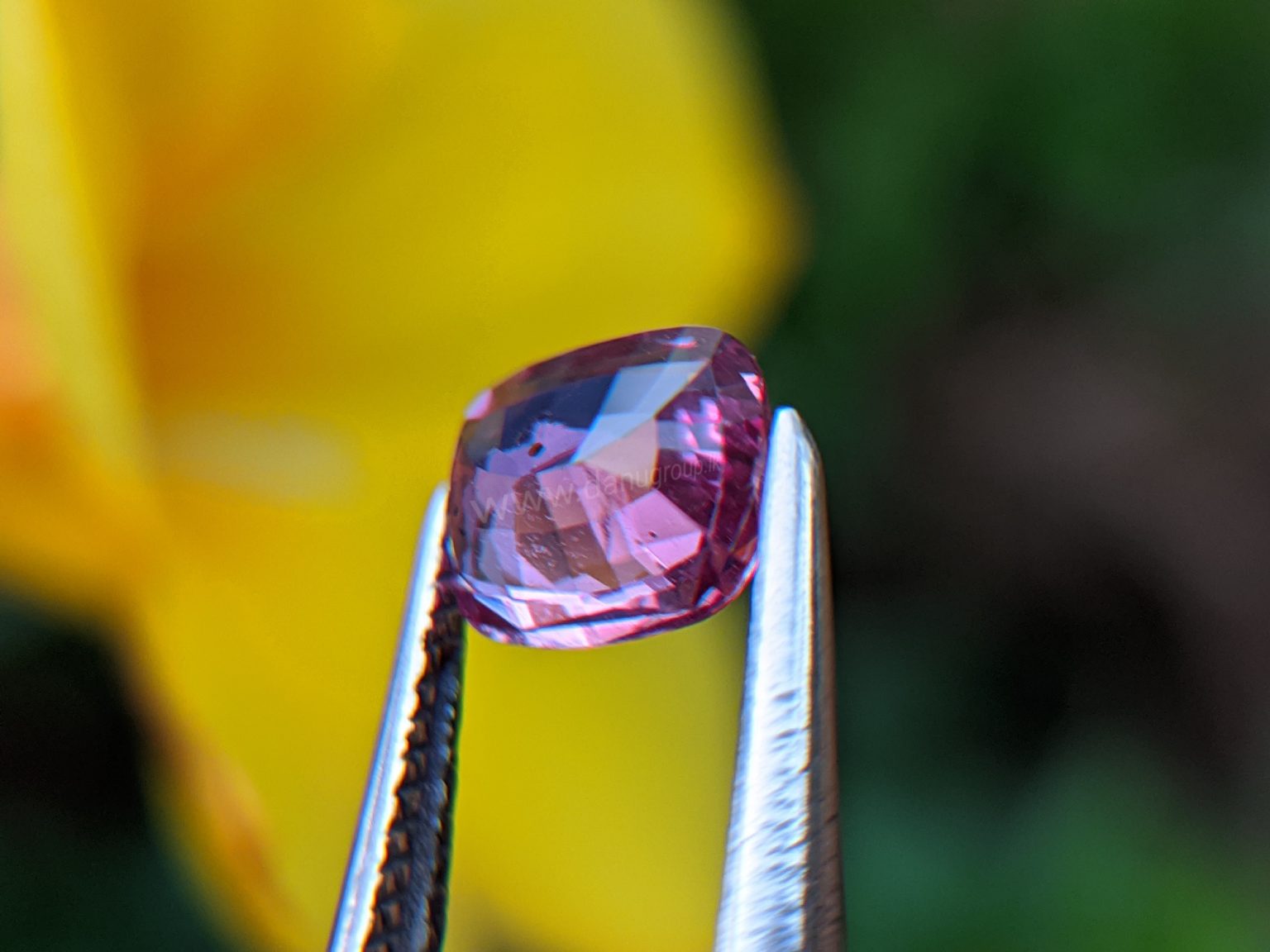 Ceylon Natural Pink Sapphire From Danu Group Gemstones Collection