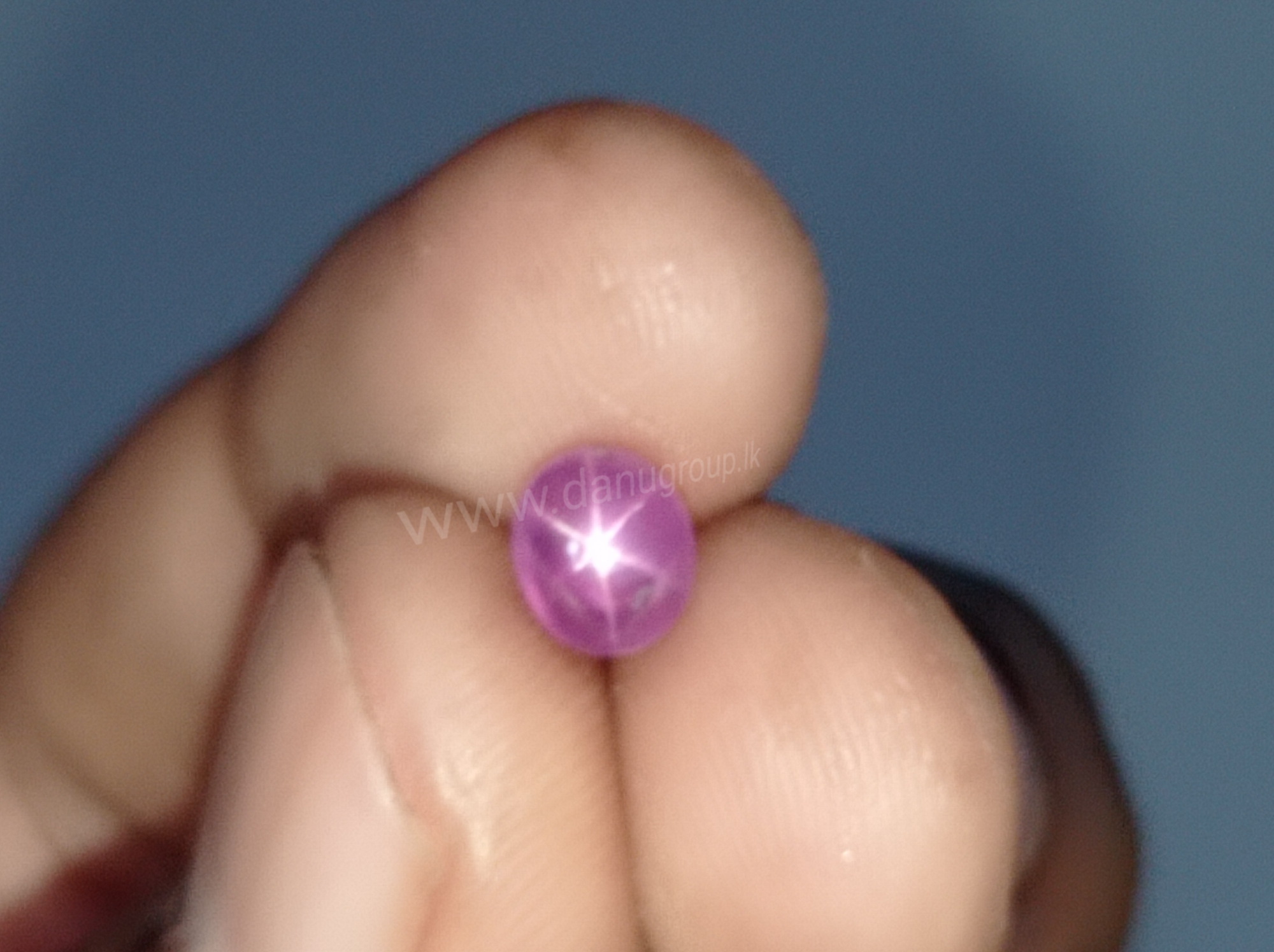 Anodized Violet Star Sapphire Lantern Love Ring – The Ring Foundry