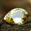 Ceylon Natural Yellow Sapphire Danu Group Astrological gem of planet Jupiter