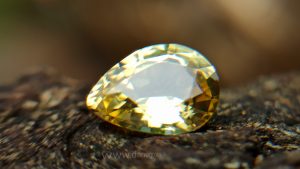 Ceylon Natural Yellow Sapphire Danu Group Astrological gem of planet Jupiter