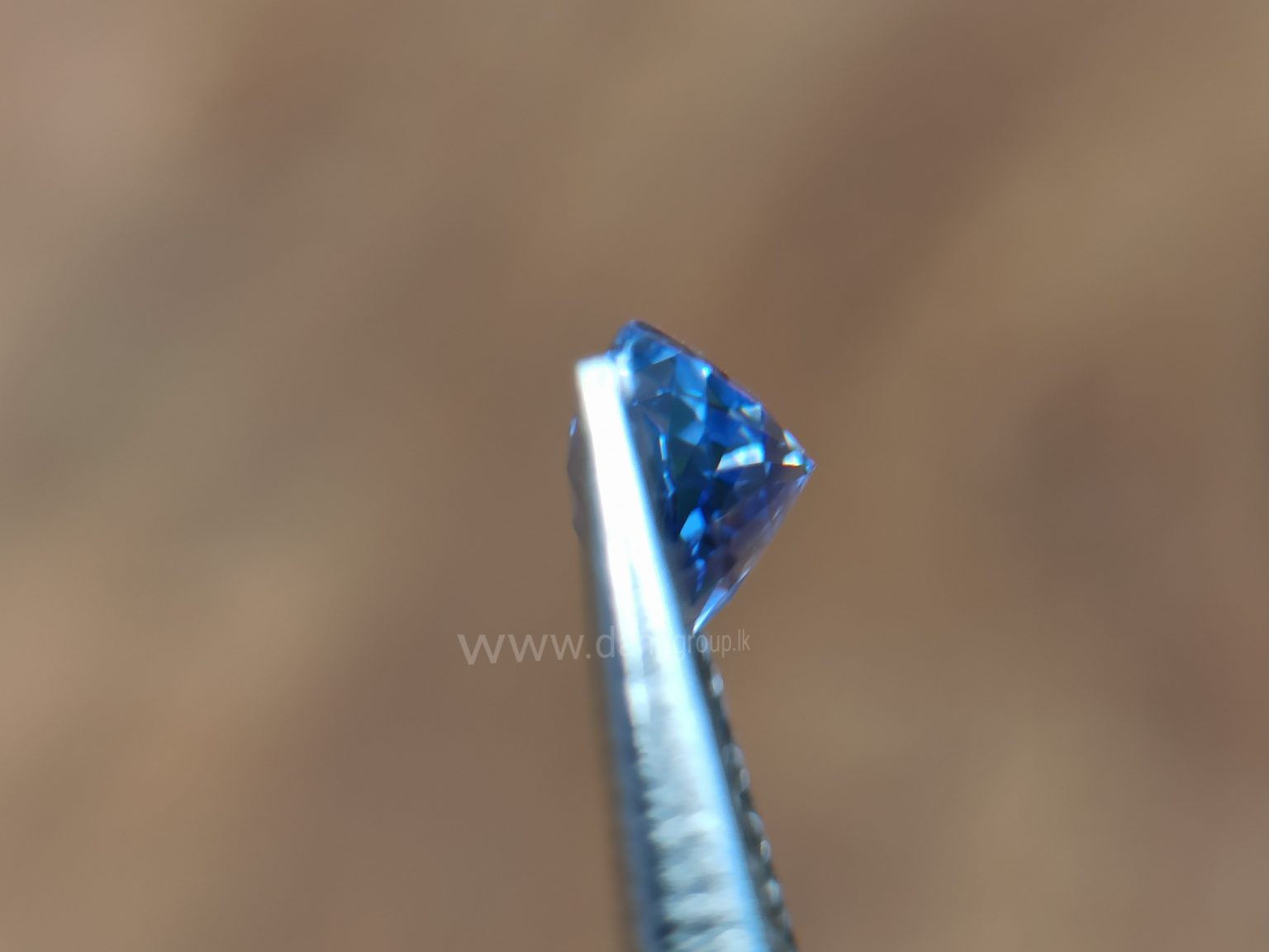 1_Ceylon Natural Blue Sapphire danu group Gemstones Natural Unheated