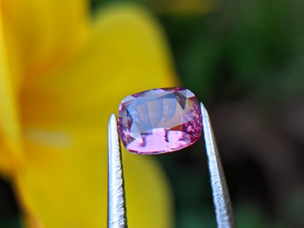 Ceylon Natural Pink Sapphire From Danu Group Gemstones Collection