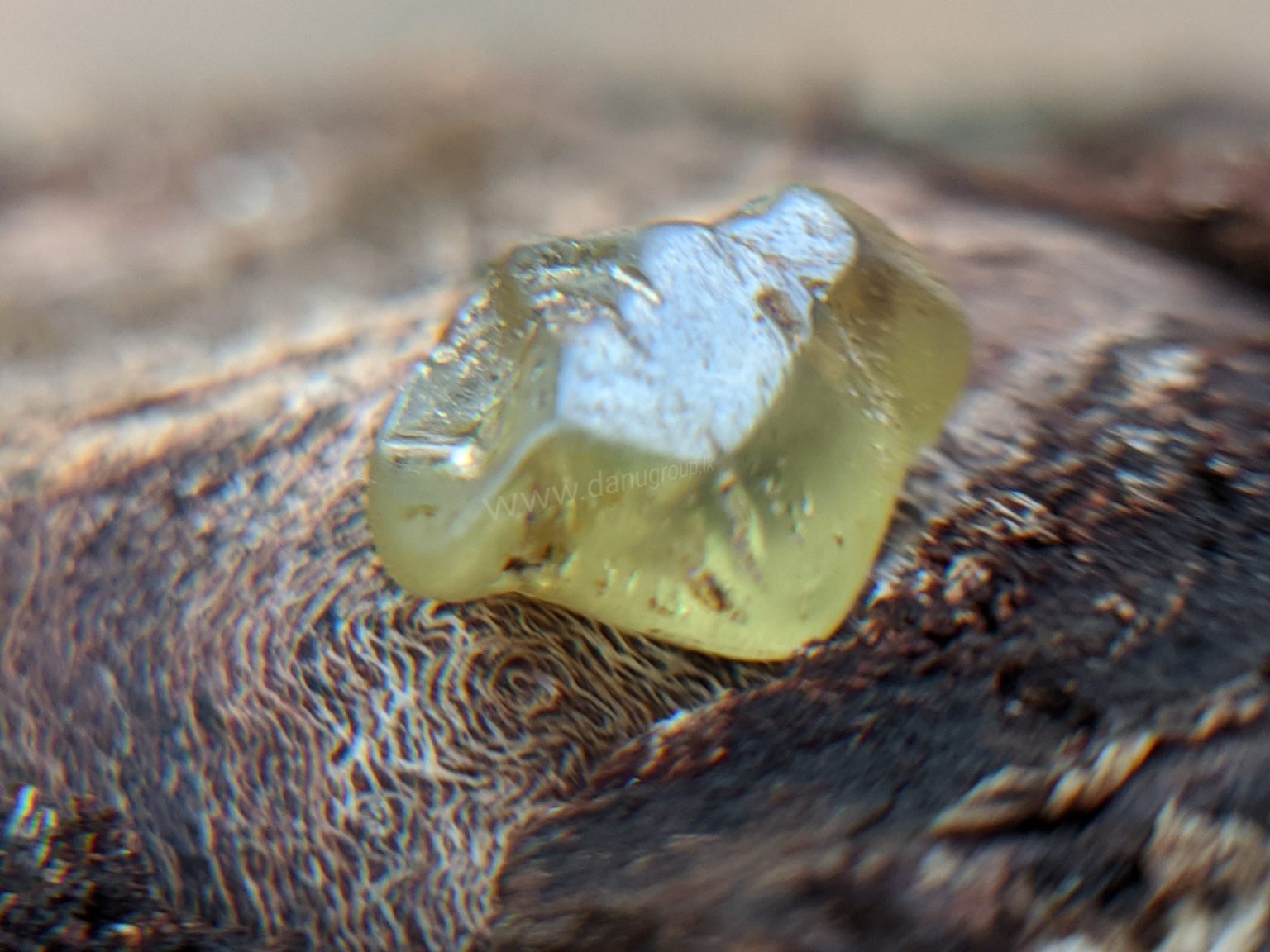 Danu Group RARE NATURAL CHRYSOBERYL SIXLING HALF CRYSTAL WITH CHATOYANCY