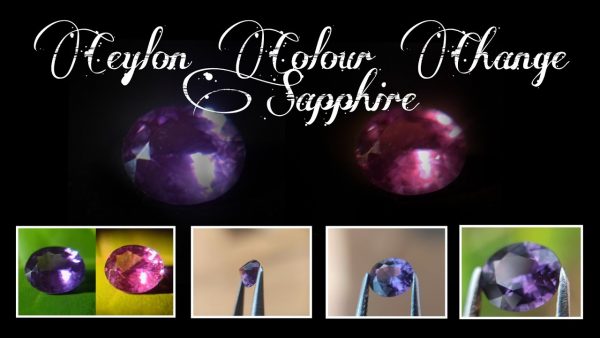 Ceylon Colour Change Sapphire from Danu Group Gemstones Collection Unique gemstones