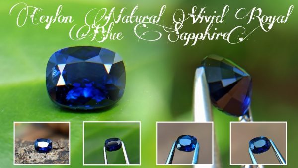 Natural Vivid Royal Blue Sapphire Danu Group Royal Gemstones