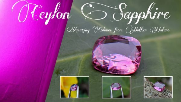 Ceylon Natural Pink Sapphire From Danu Group Gemstones Collection
