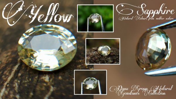 Ceylon Natural Yellow Sapphire Danu Group Astrological gem of planet Jupiter