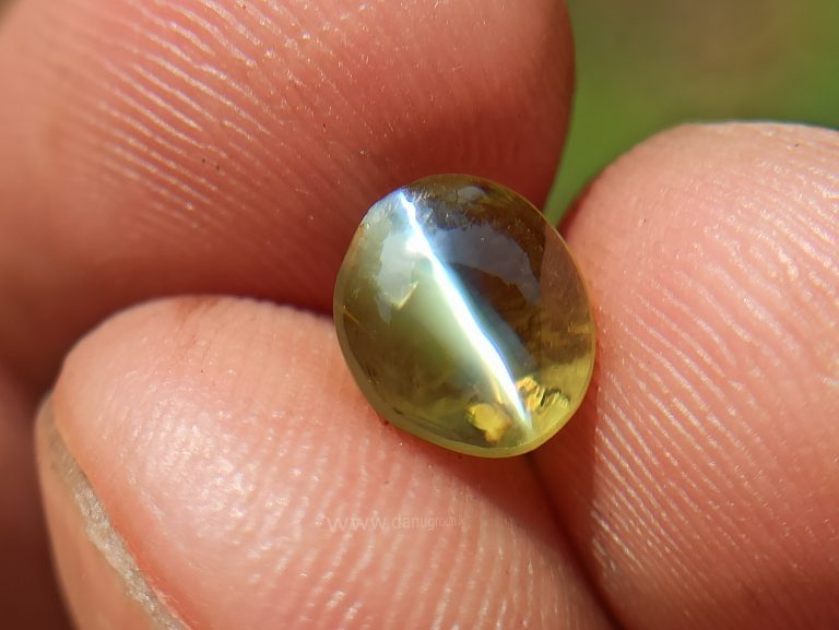 Natural Apple Green Chrysoberyl Cats Eye - Danu Group Gemstones Collection