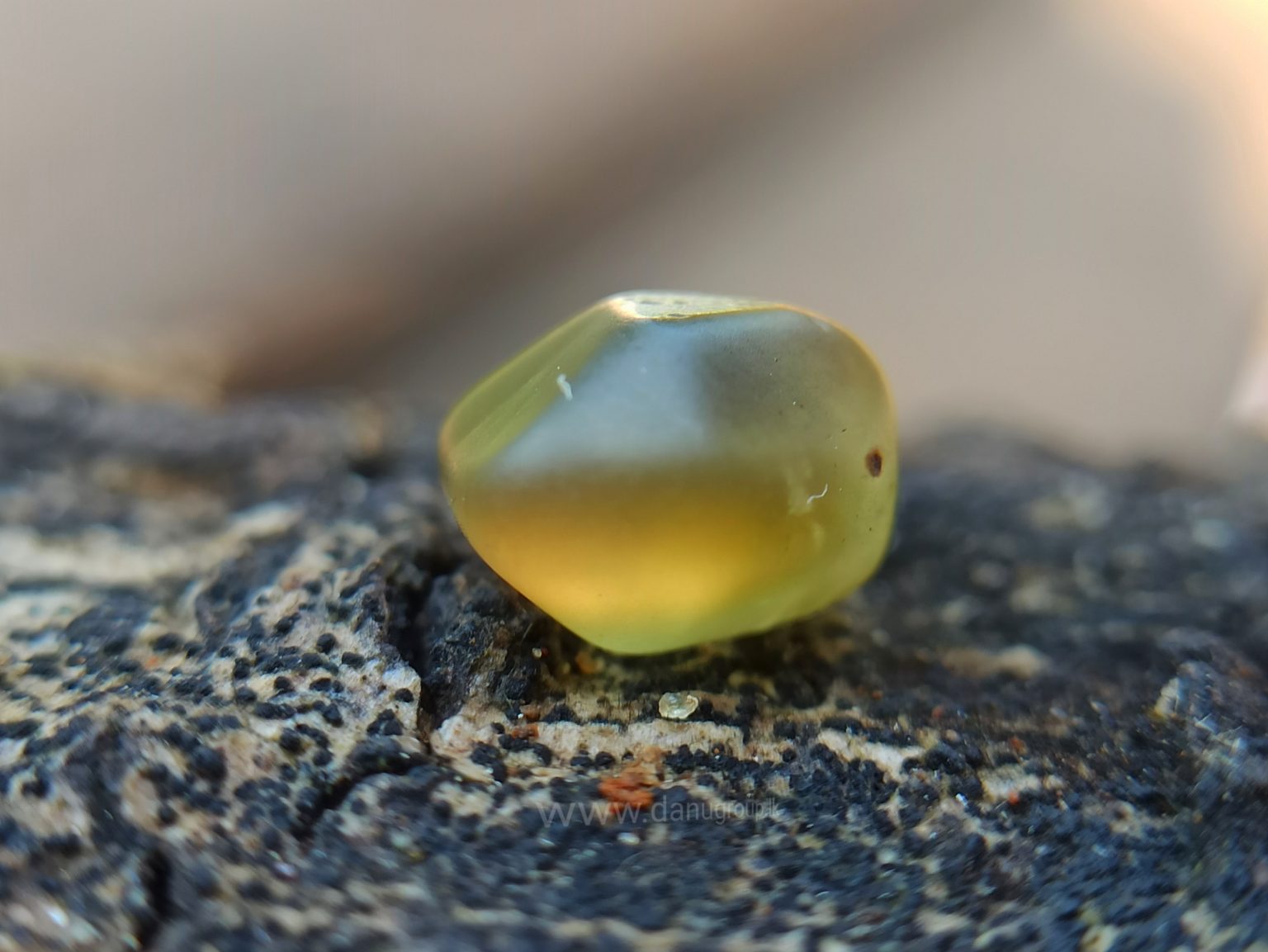 Ceylon Natural Chrysoberyl Alluvial Crystal Couple from Danu Group Gemstones Collection