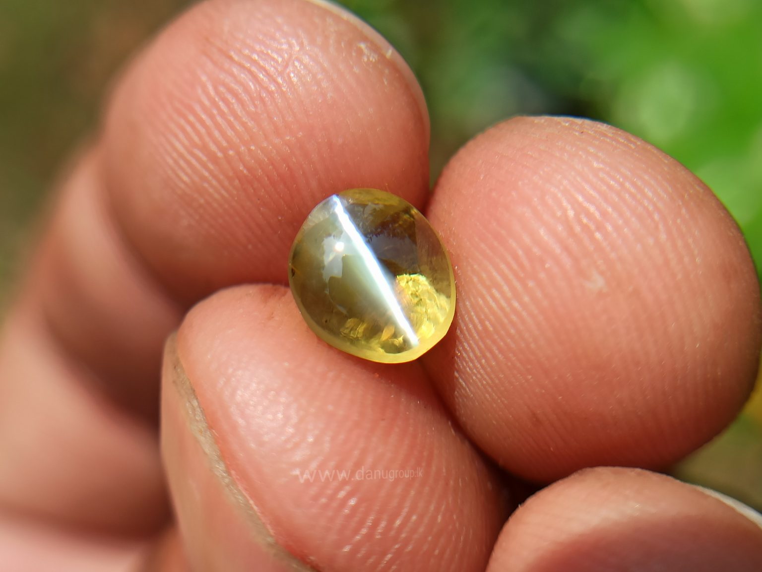 Natural Apple Green Chrysoberyl Cats Eye - Danu Group Gemstones Collection