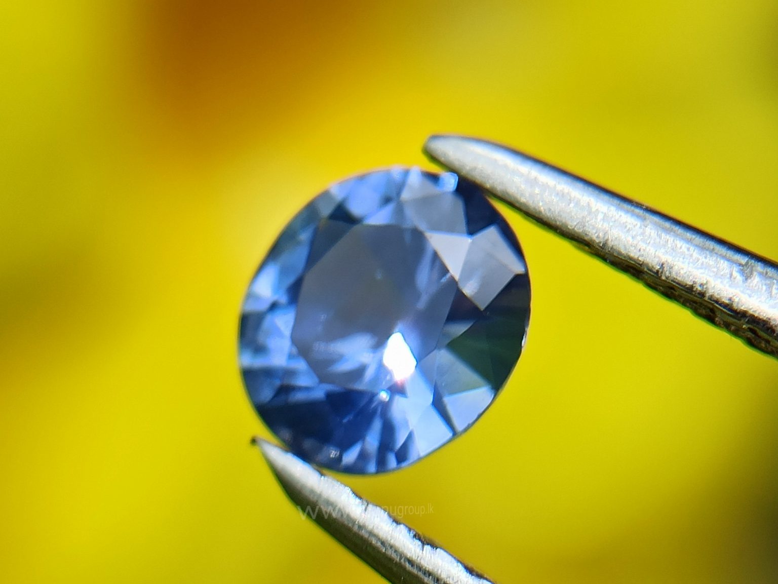 Ceylon Natural Blue Sapphire Couple from Danu Group Gemstones Collection