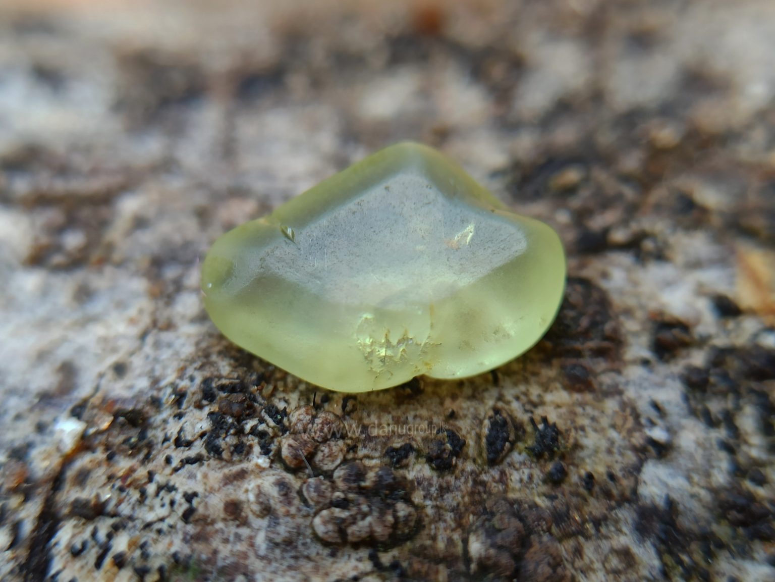 Ceylon Natural Chrysoberyl Alluvial Crystal Couple from Danu Group Gemstones Collection