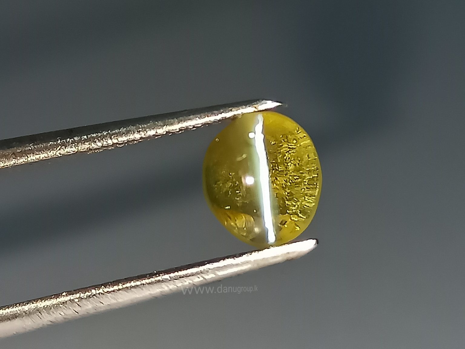 Natural Apple Green Chrysoberyl Cats Eye - Danu Group Gemstones Collection