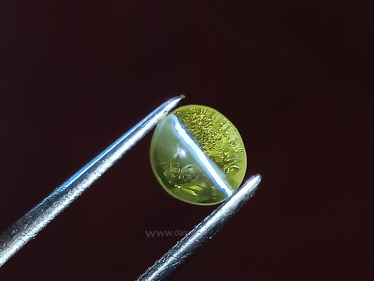 Natural Apple Green Chrysoberyl Cats Eye - Danu Group Gemstones Collection