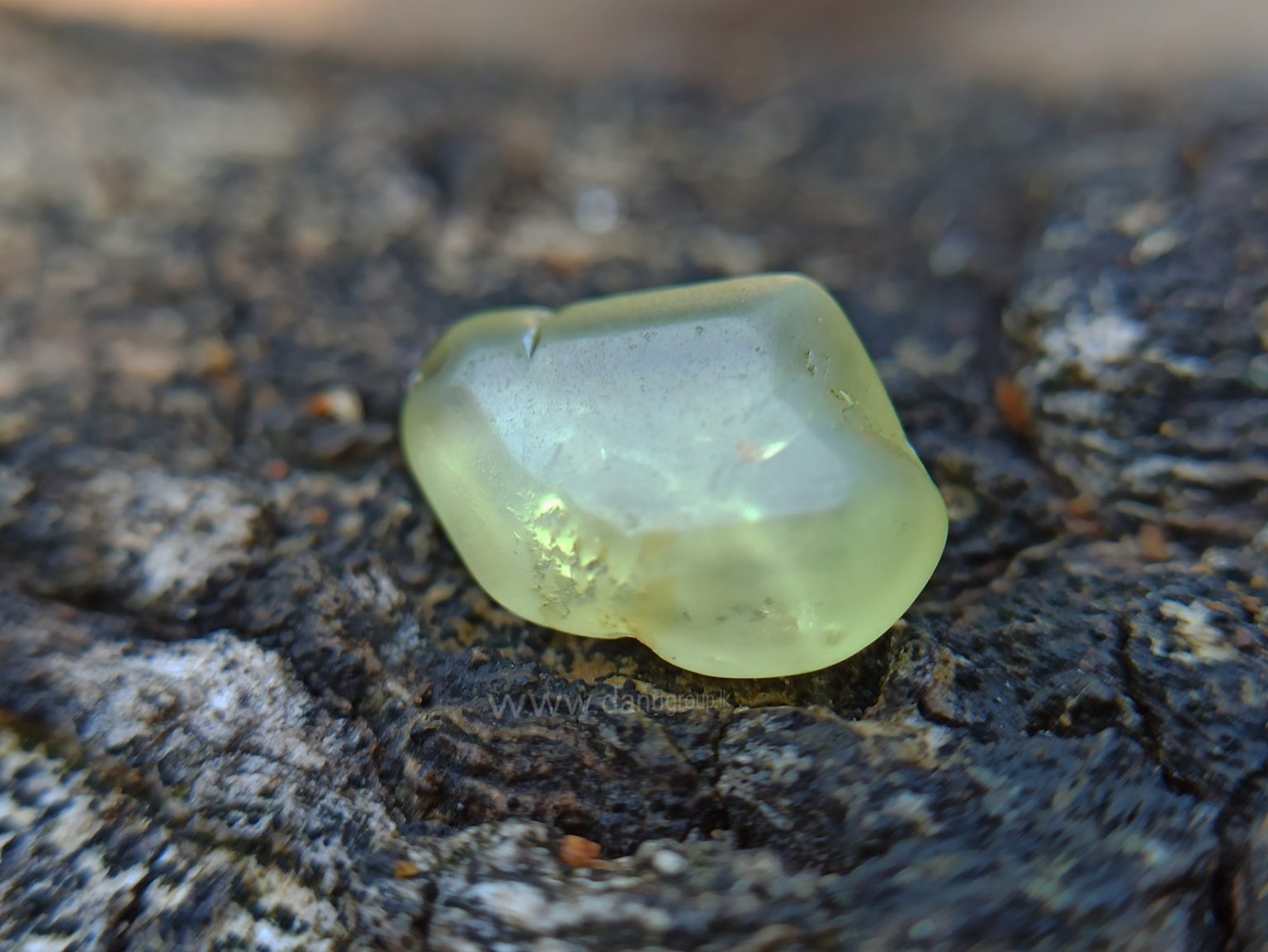 Ceylon Natural Chrysoberyl Alluvial Crystal Couple from Danu Group Gemstones Collection