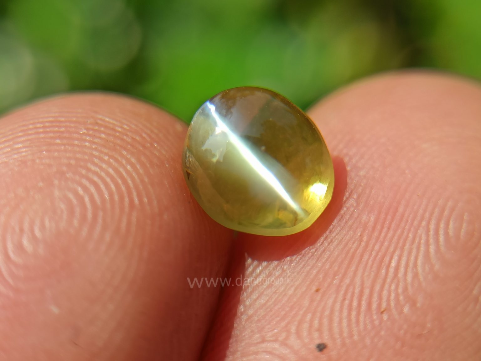 Natural Apple Green Chrysoberyl Cats Eye - Danu Group